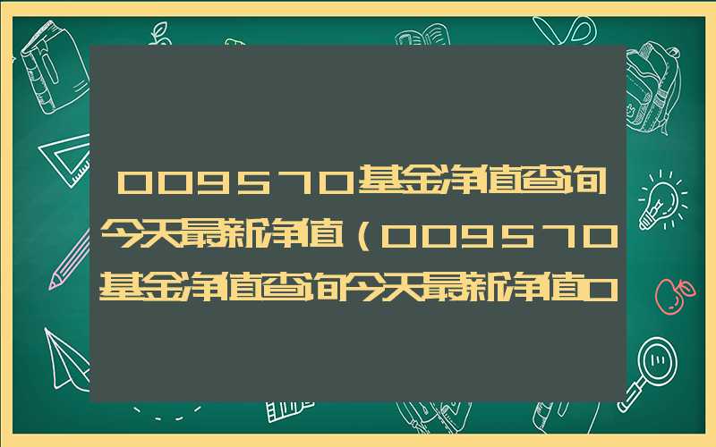 009570基金净值查询今天最新净值（009570基金净值查询今天最新净值009571）