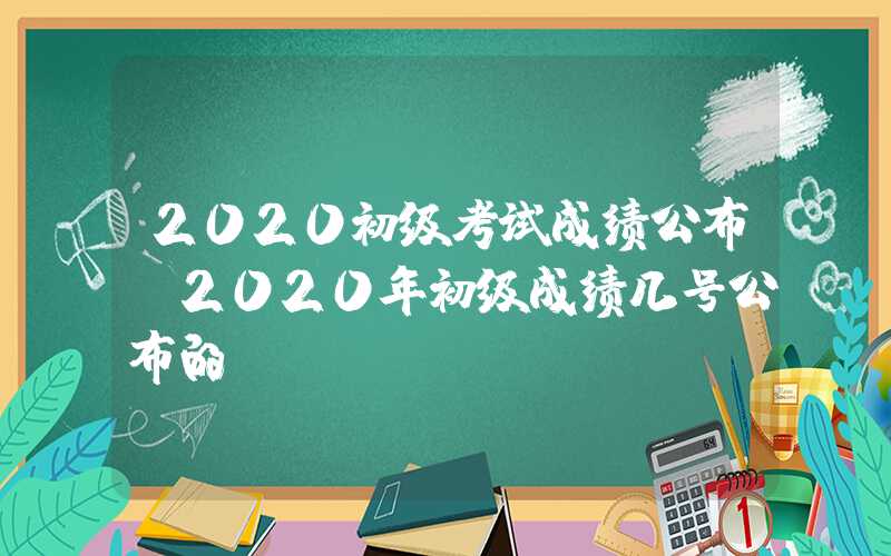 2020初级考试成绩公布（2020年初级成绩几号公布的）