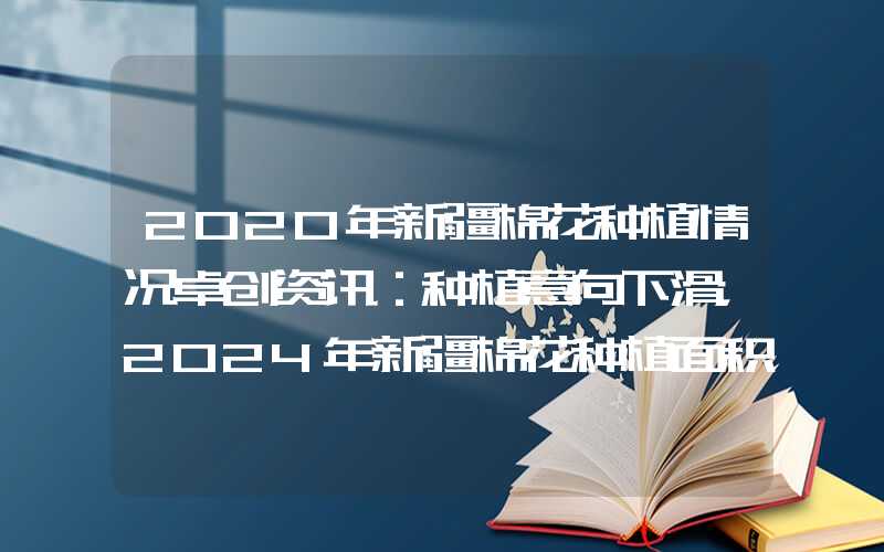 2020年新疆棉花种植情况卓创资讯：种植意向下滑，2024年新疆棉花种植面积或下降