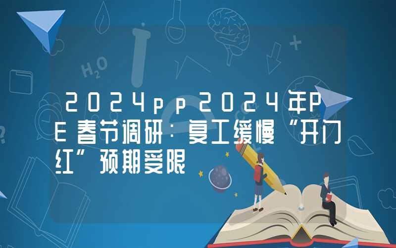 2024pp2024年PE春节调研：复工缓慢“开门红”预期受限