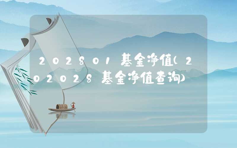 202801基金净值（202028基金净值查询）