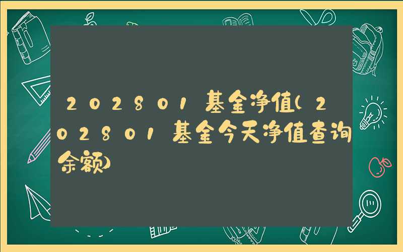 202801基金净值（202801基金今天净值查询余额）