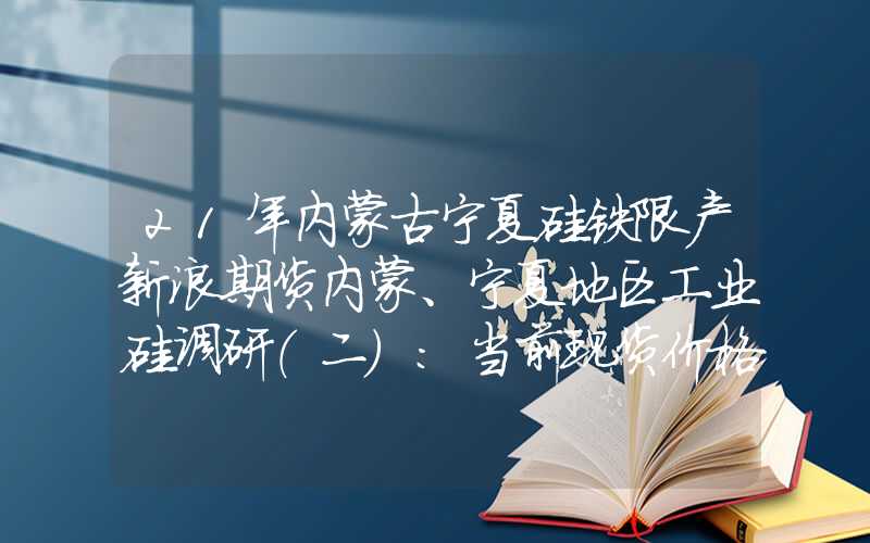 21年内蒙古宁夏硅铁限产新浪期货内蒙、宁夏地区工业硅调研（二）：当前现货价格利润状况良好