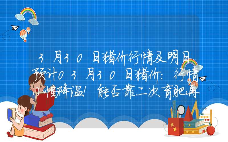 3月30日猪价行情及明日预计03月30日猪价：行情小幅降温！能否靠二次育肥再次拉涨？