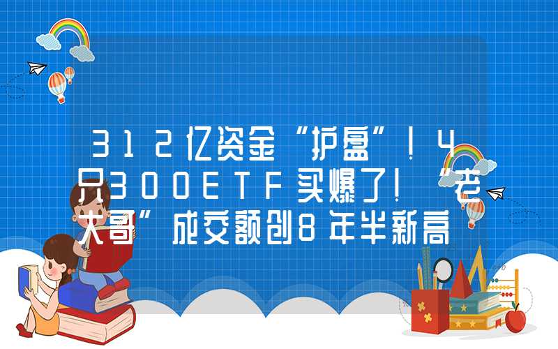 312亿资金“护盘”！4只300ETF买爆了！“老大哥”成交额创8年半新高