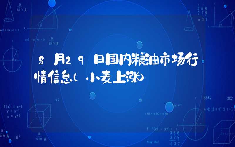 8月29日国内粮油市场行情信息（小麦上涨）