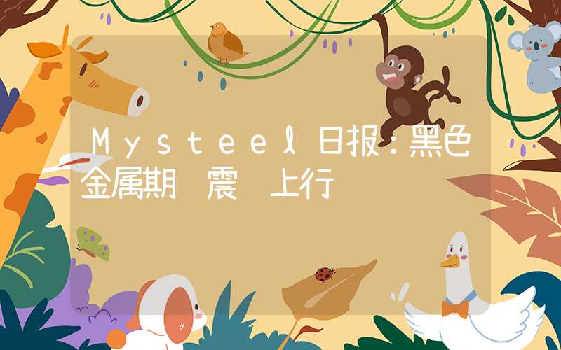 Mysteel日报：黑色金属期货震荡上行