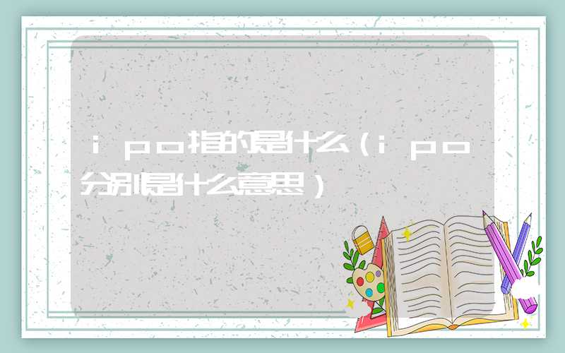 ipo指的是什么（ipo分别是什么意思）