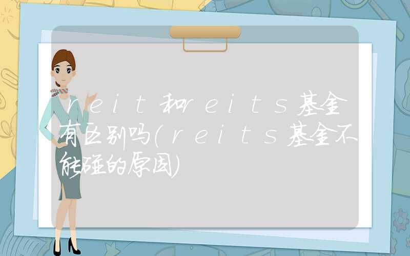 reit和reits基金有区别吗（reits基金不能碰的原因）